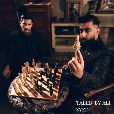 taleb-by-ali